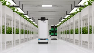 AI Robots farming in greenhouse